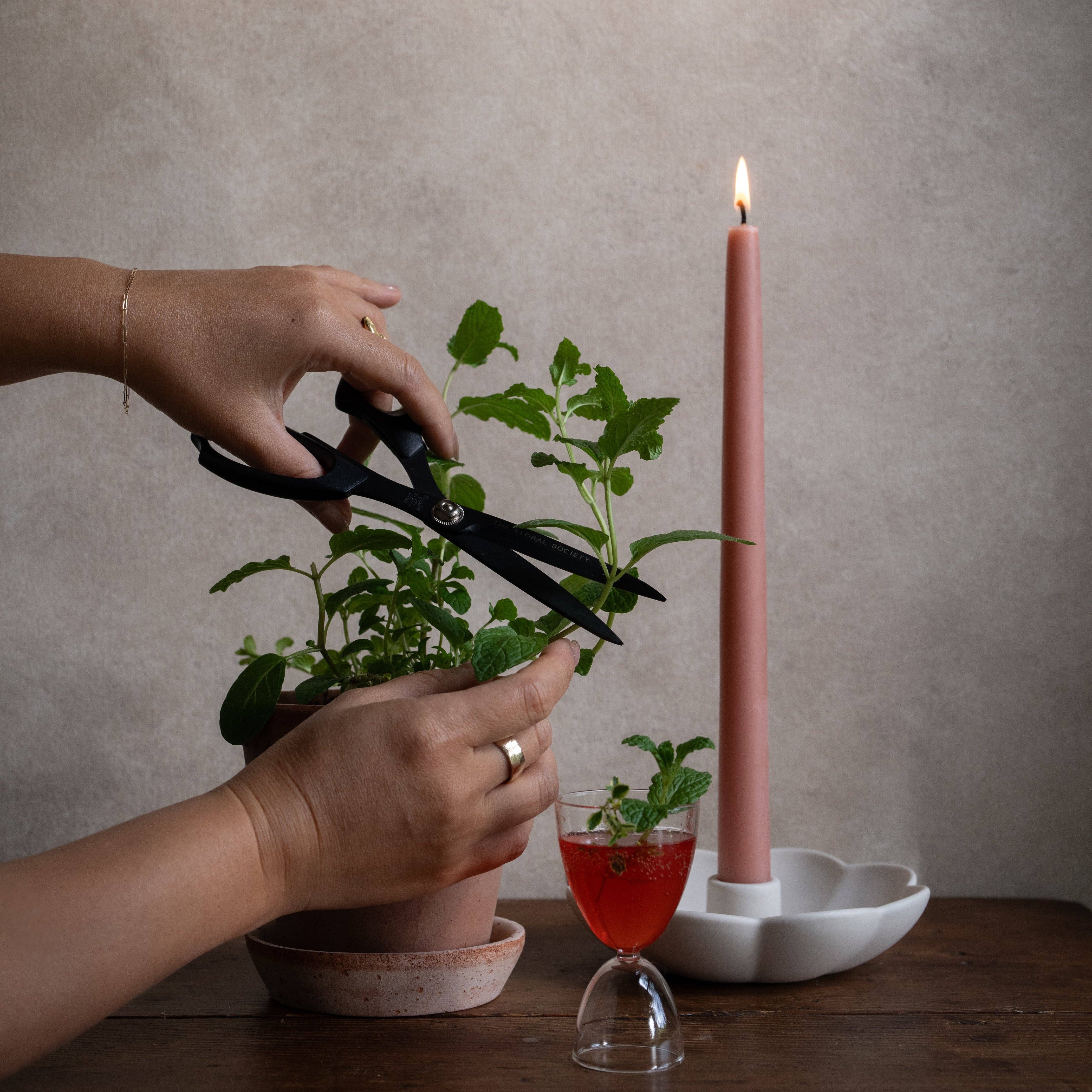 The Floral Society - 12" Original Dipped Taper Candles: Greige