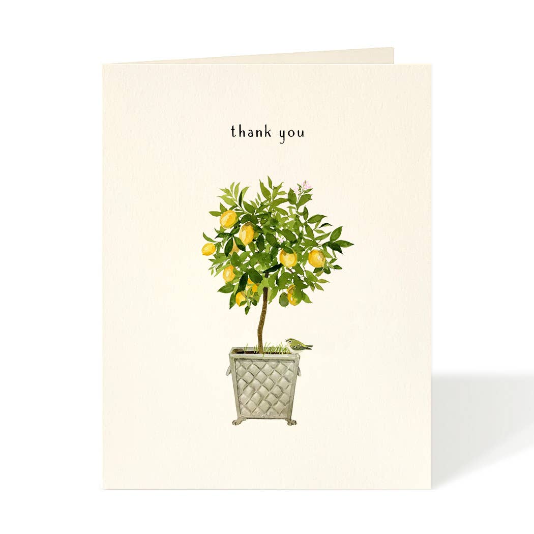 Felix Doolittle - Lemon Topiary - Thank You Card