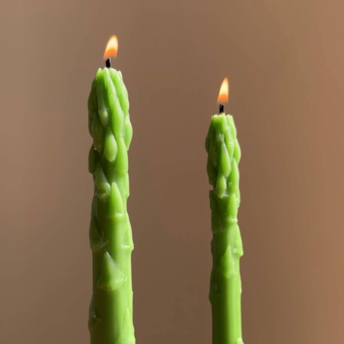 Asparagus Beeswax Taper Candle Pair