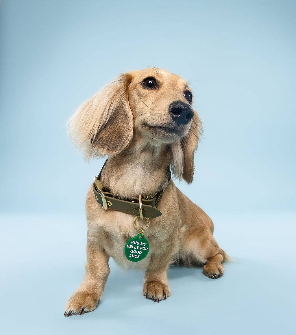 Freshwater Curated Goods™ - Rub My Belly Pet Tag