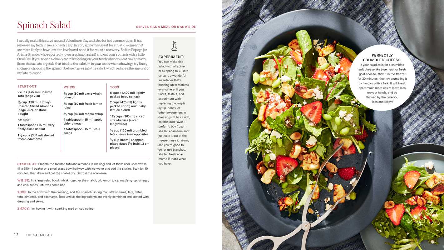 Simon & Schuster - Salad Lab: Whisk, Toss, Enjoy! by Darlene Schrijver: Hardcover; 272 pages / English