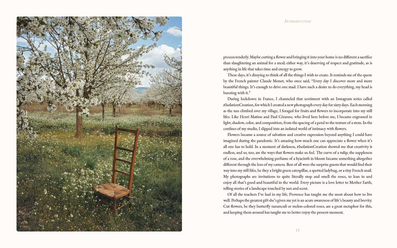 Simon & Schuster - Flowers of Provence by Jamie Beck: Hardcover; 304 pages / English