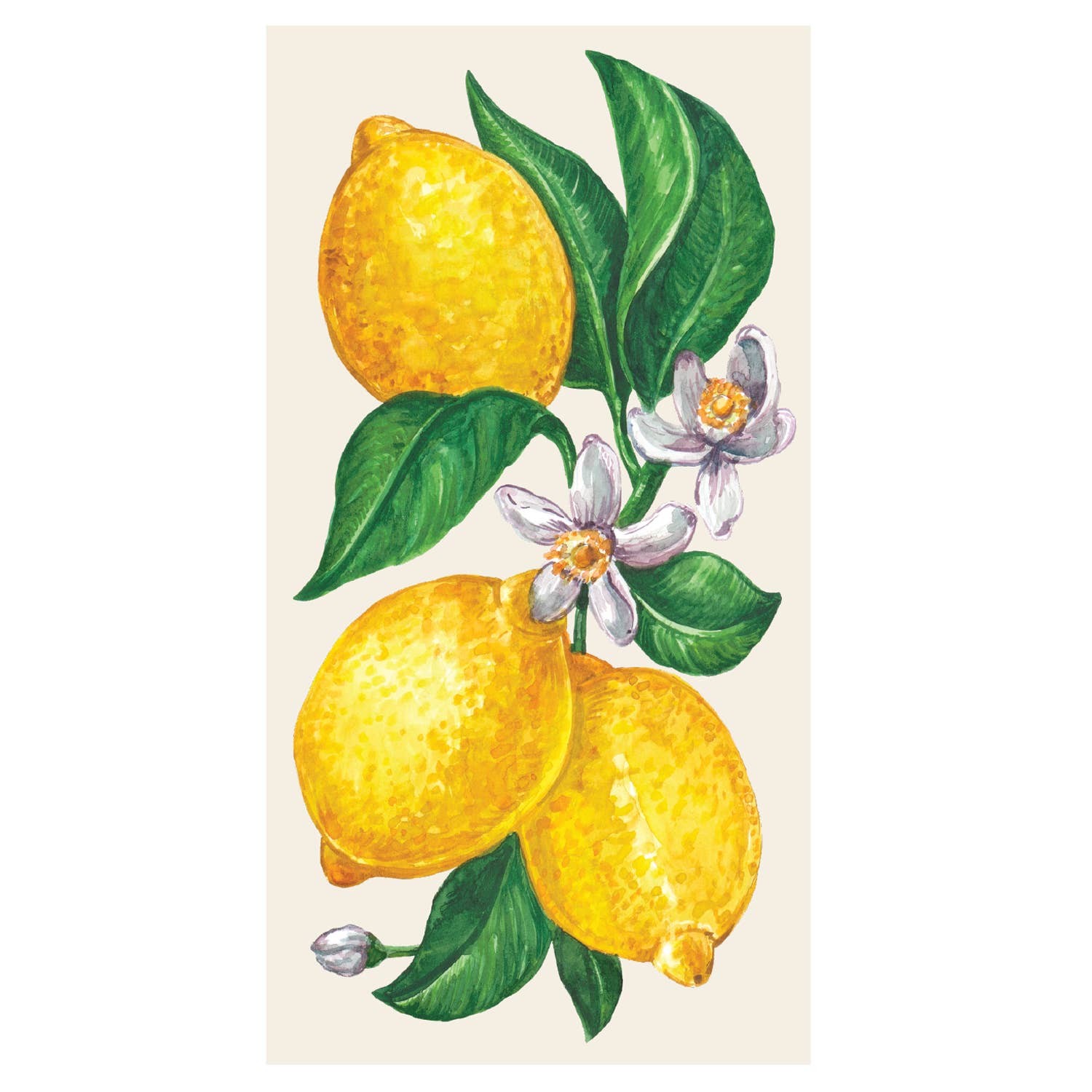 Hester & Cook - Stationery - Lemons Guest Napkin - Pack Of 16