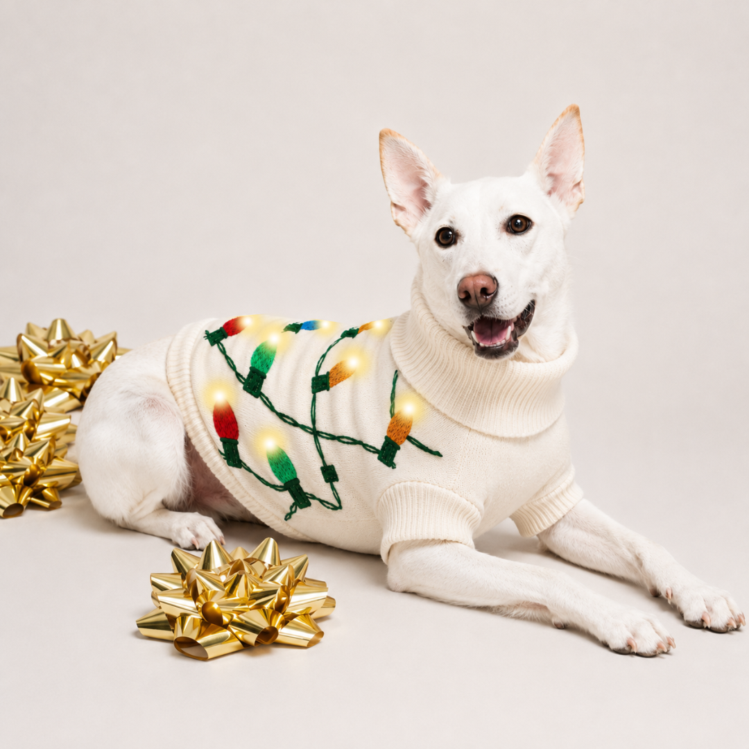Found My Animal - Found My Animal Vintage Lights LED Dog Sweater: Small