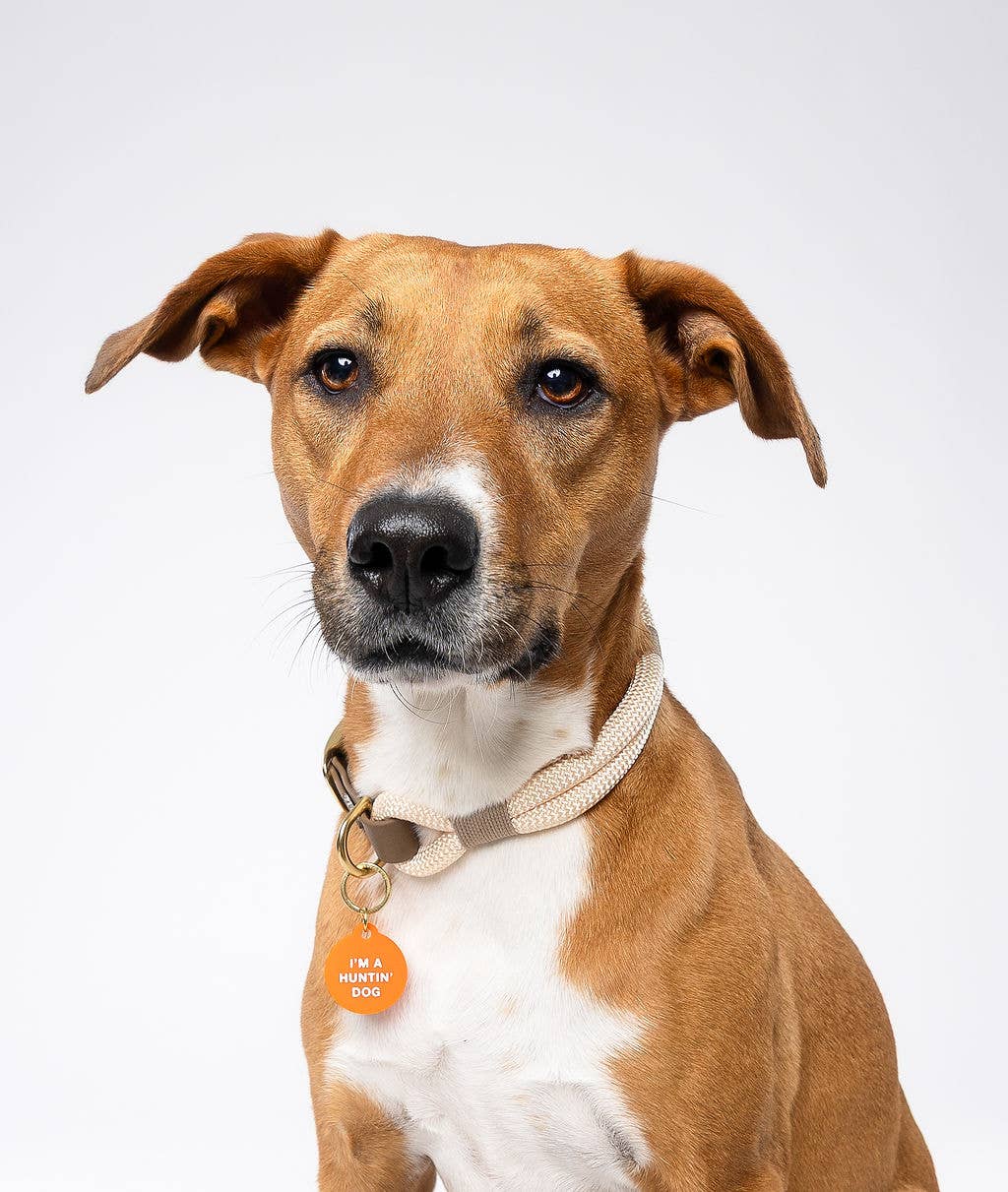 Freshwater Curated Goods™ - I'm a Huntin' Dog Pet Tag