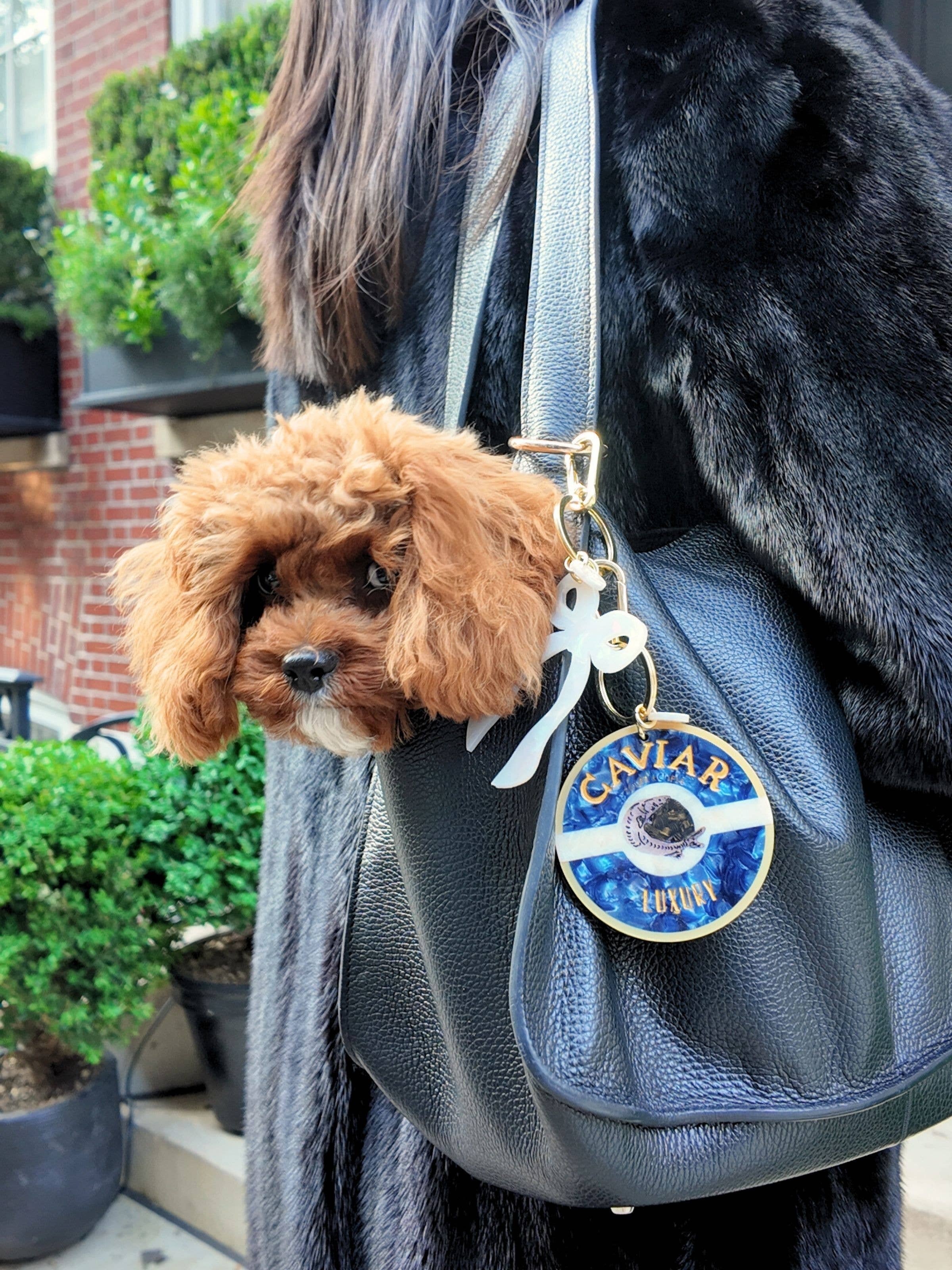 Solar Eclipse - Hand-painted Caviar Bag Charm + Keychain