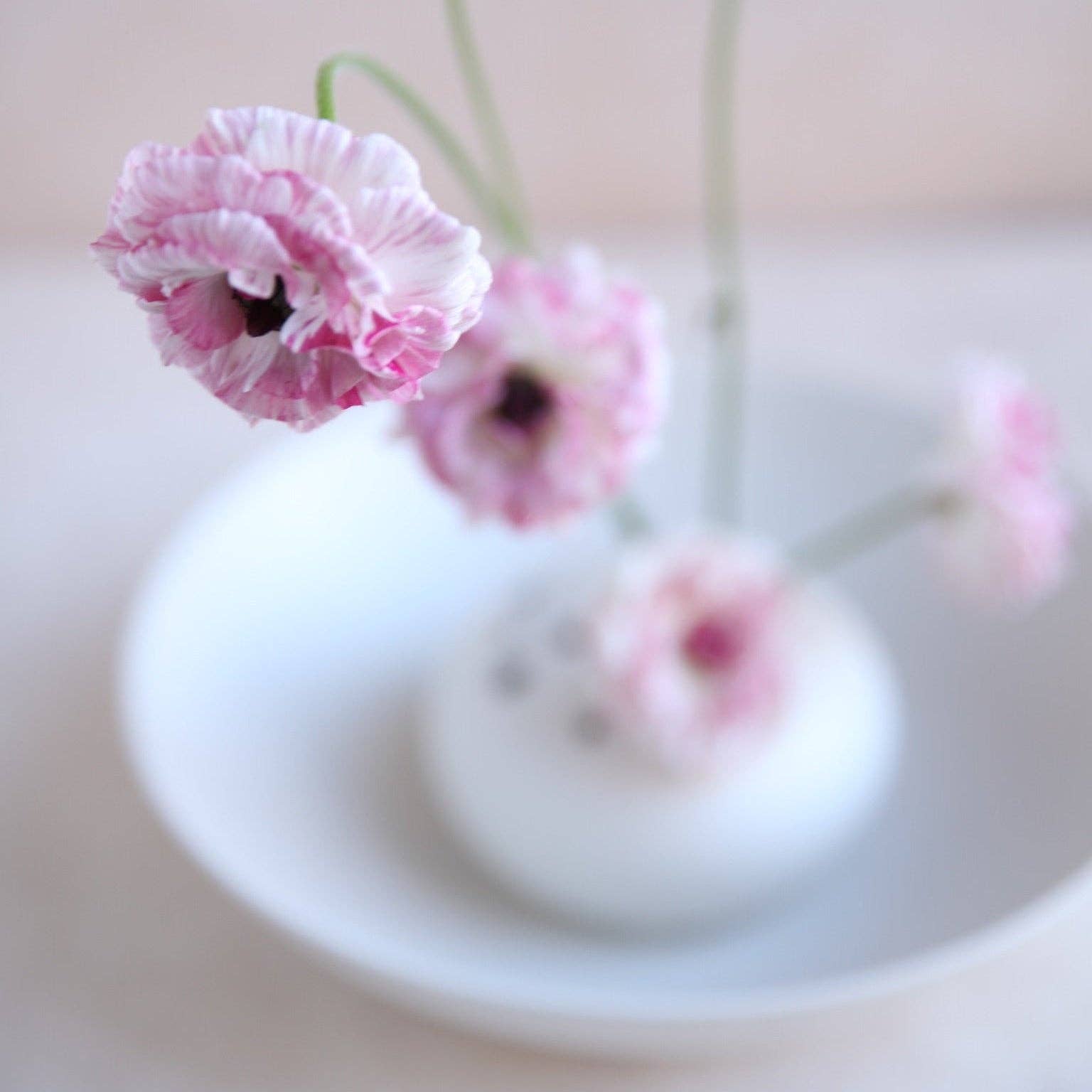 The Floral Society - Flower Frog Bowl Vase