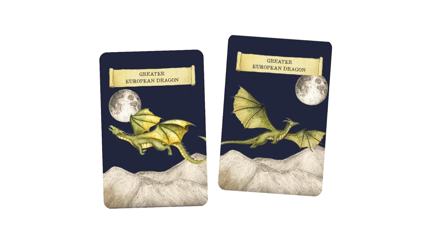 Discover the Dragons a Memory Game
