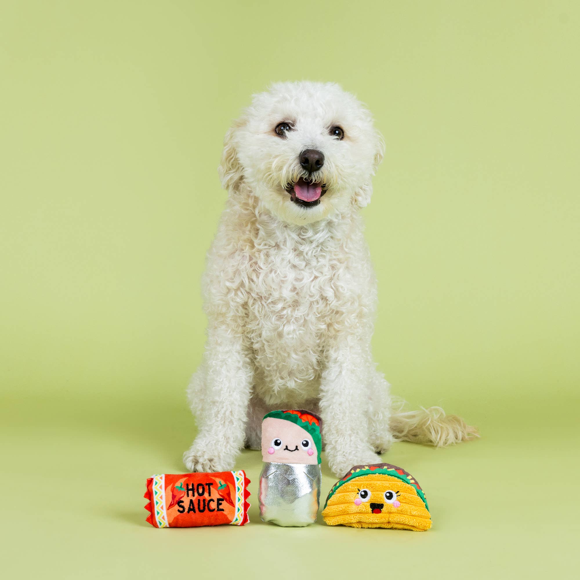 3 Piece Small Dog Toy Set - I Got the Hot for You