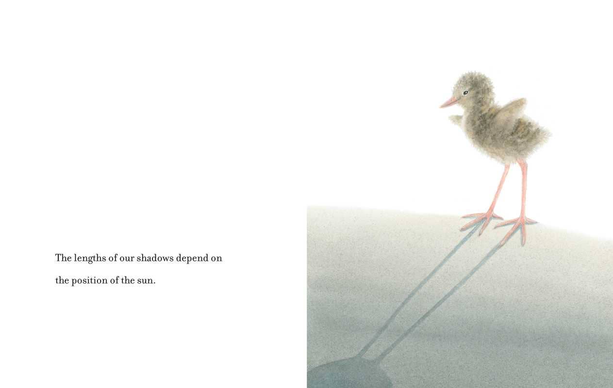 Simon & Schuster - For Those Who Want to Fly by Pirkko Vainio: Hardcover; 50 pages / English
