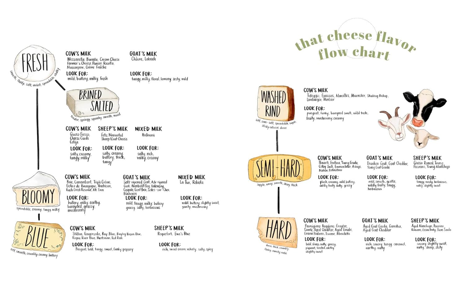 That Cheese Plate Wants to Party: Festive Boards, Spreads, and Recipes with the Cheese By Numbers Method