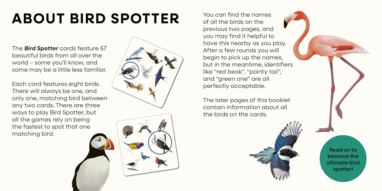 Bird Spotter