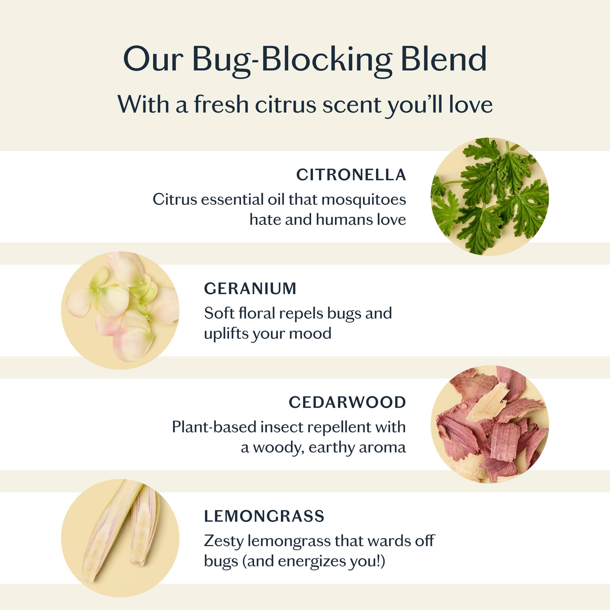 Kate McLeod - The Bug Balm | All-Natural Insect Repellent: Lotion Bar