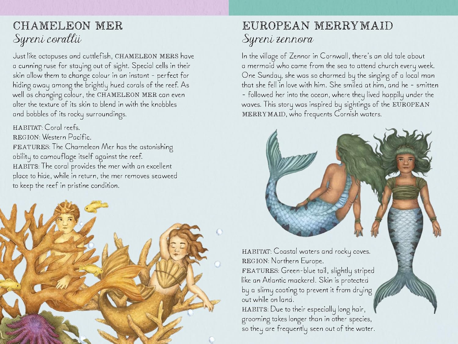 Match the Mermaids a Memory Game