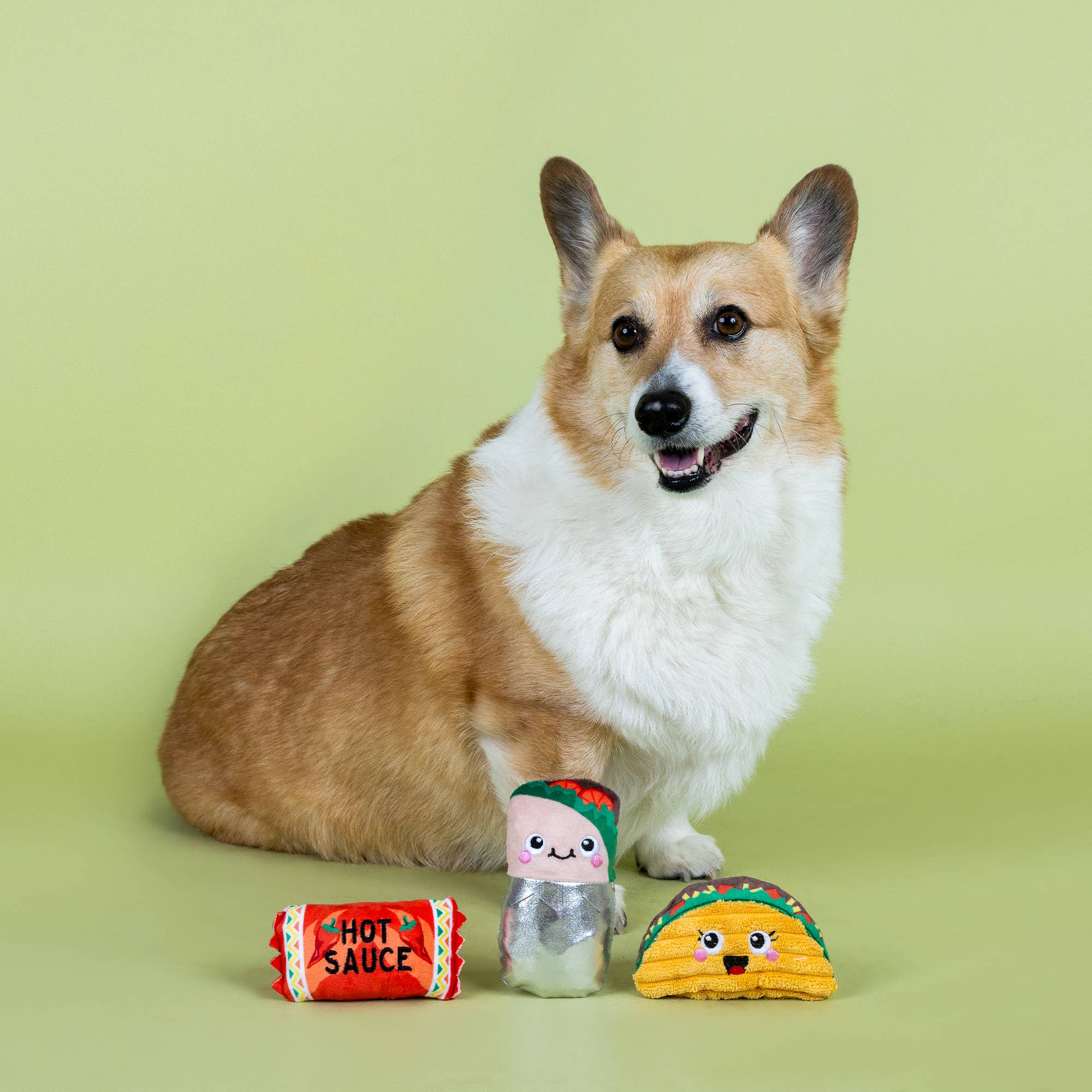 3 Piece Small Dog Toy Set - I Got the Hot for You