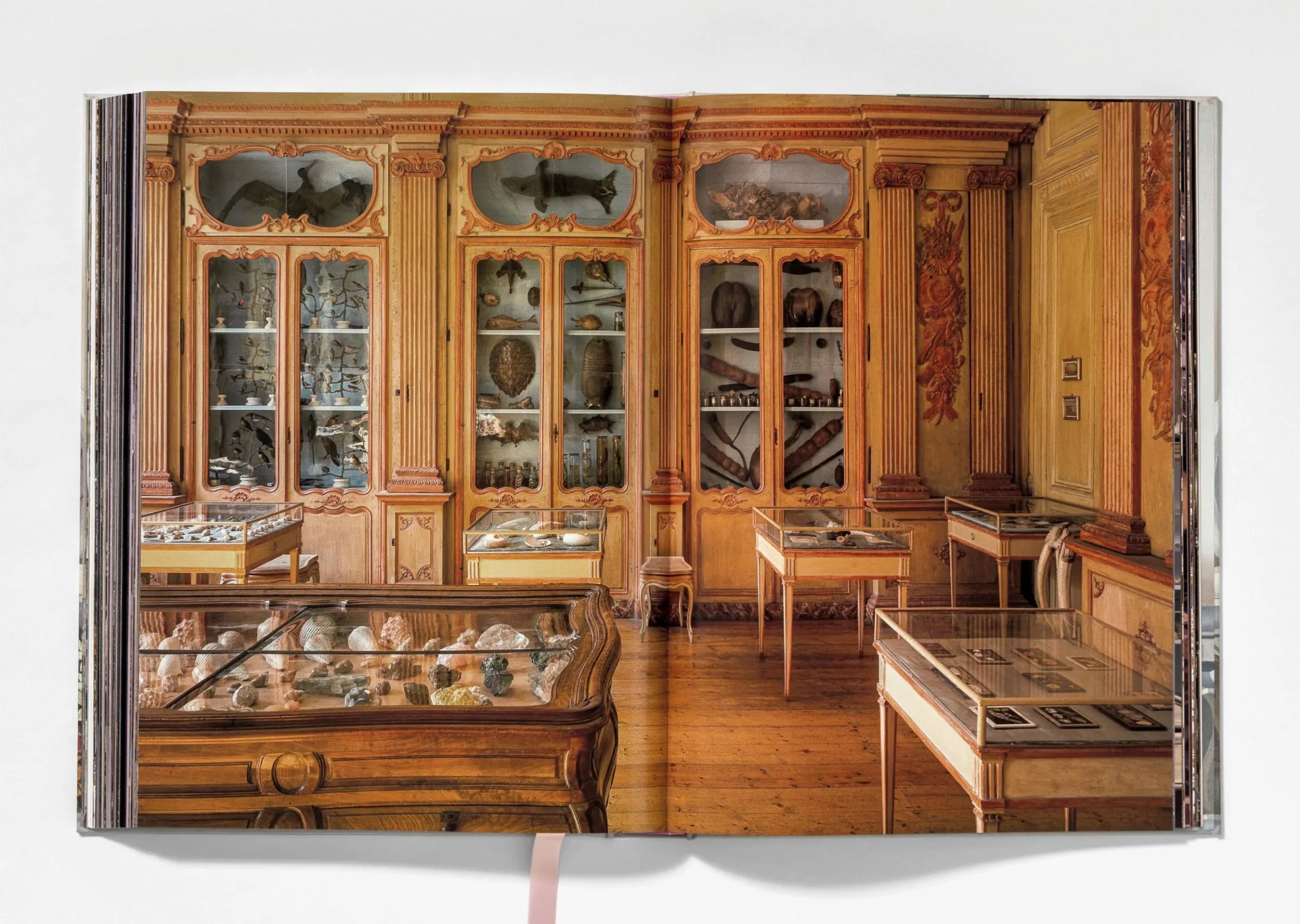 Massimo Listri. Cabinet of Curiosities