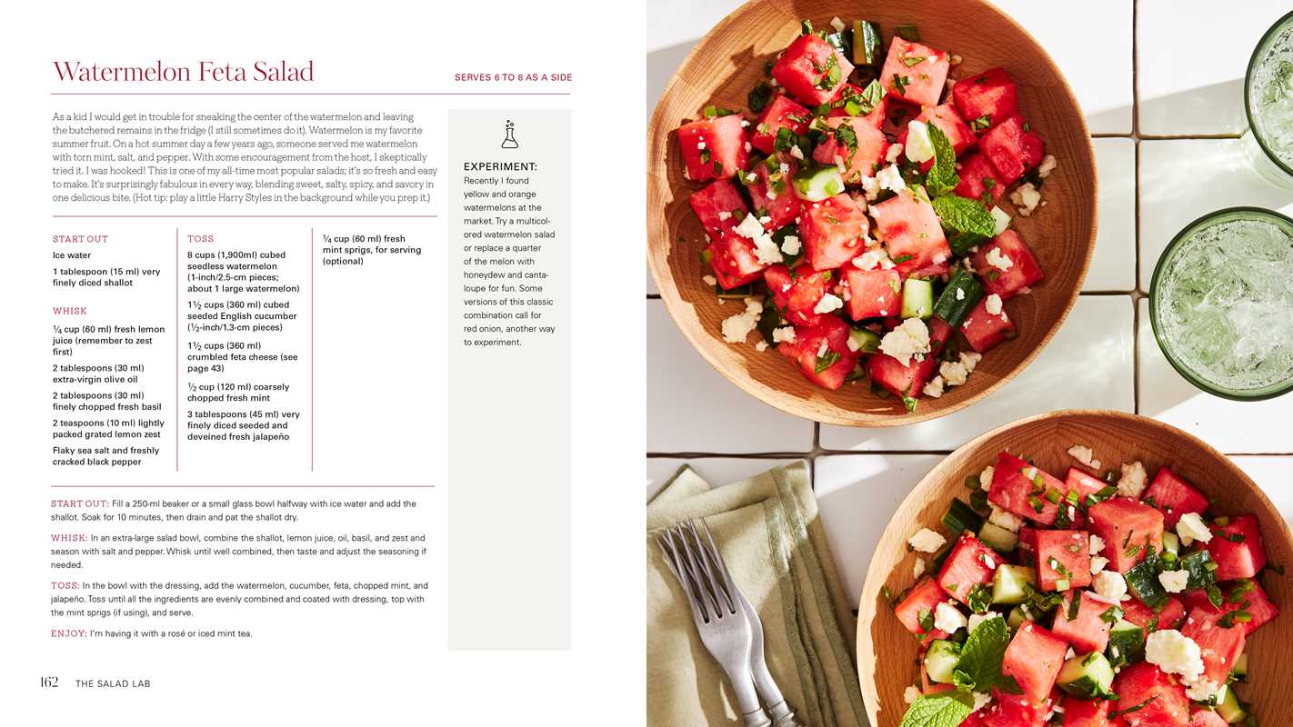 Simon & Schuster - Salad Lab: Whisk, Toss, Enjoy! by Darlene Schrijver: Hardcover; 272 pages / English