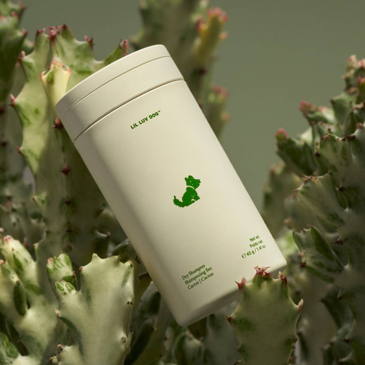 Dry shampoo - Cactus Flower