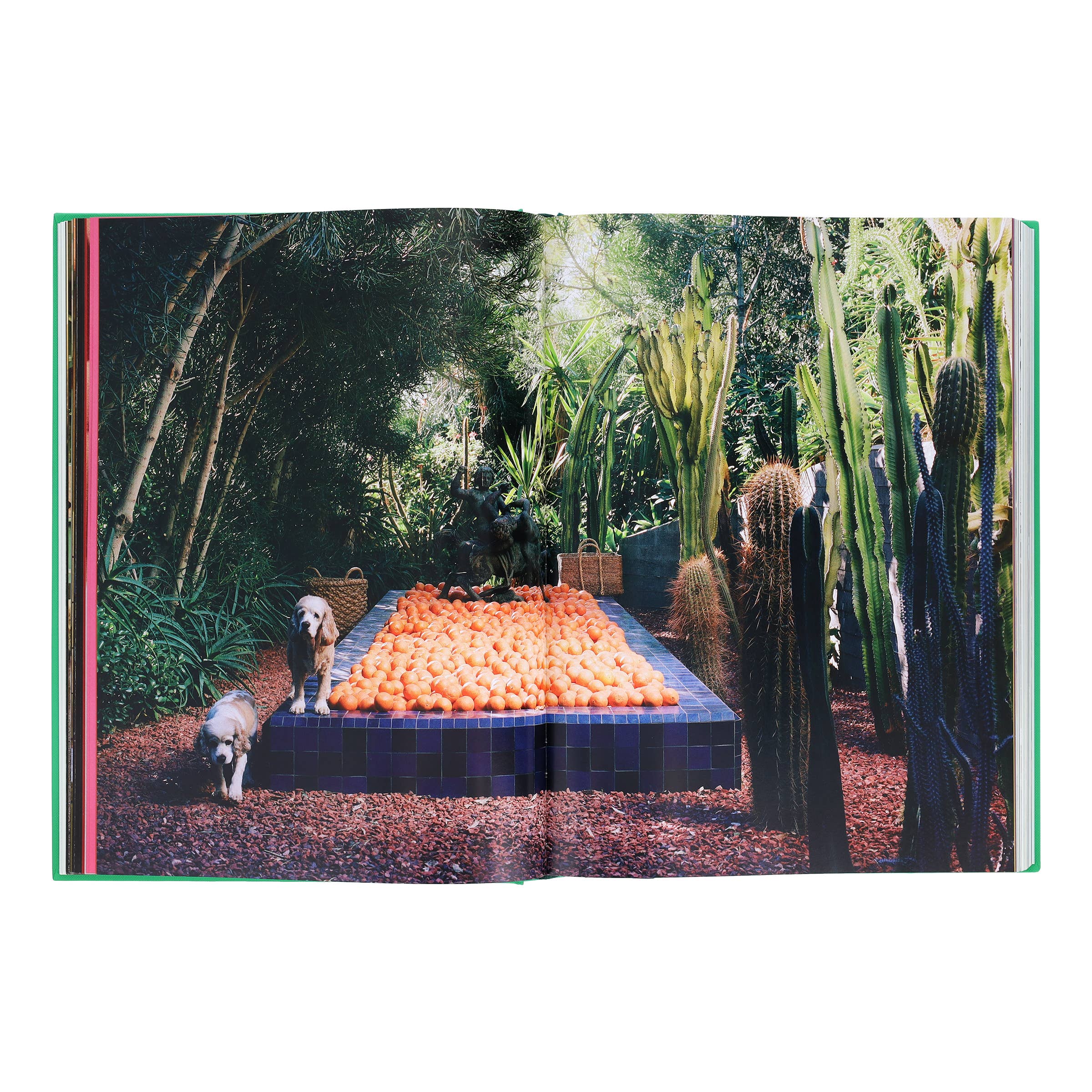 Flamingo Estate: The Guide to Becoming Alive