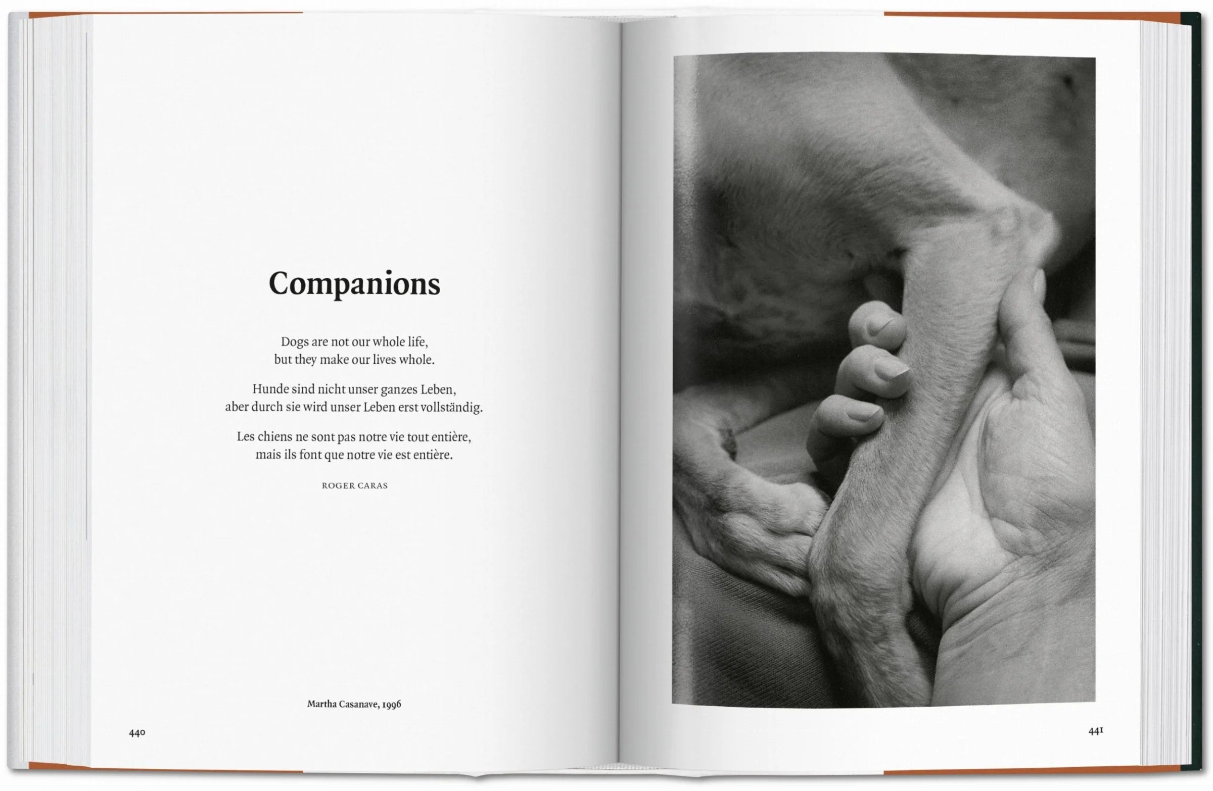 The Dog in Photography 1839–Today