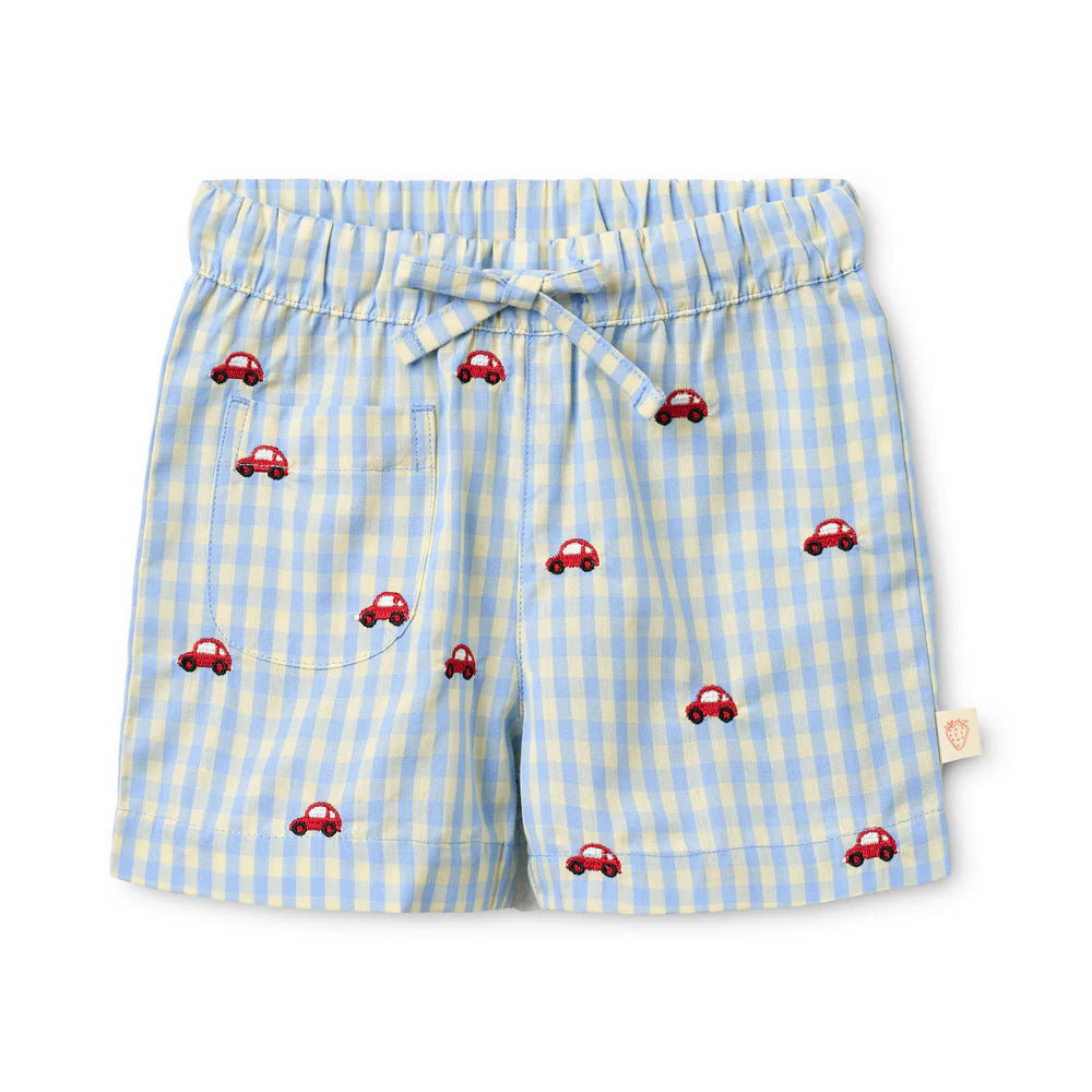 Albert Shorts - Blue Gingham