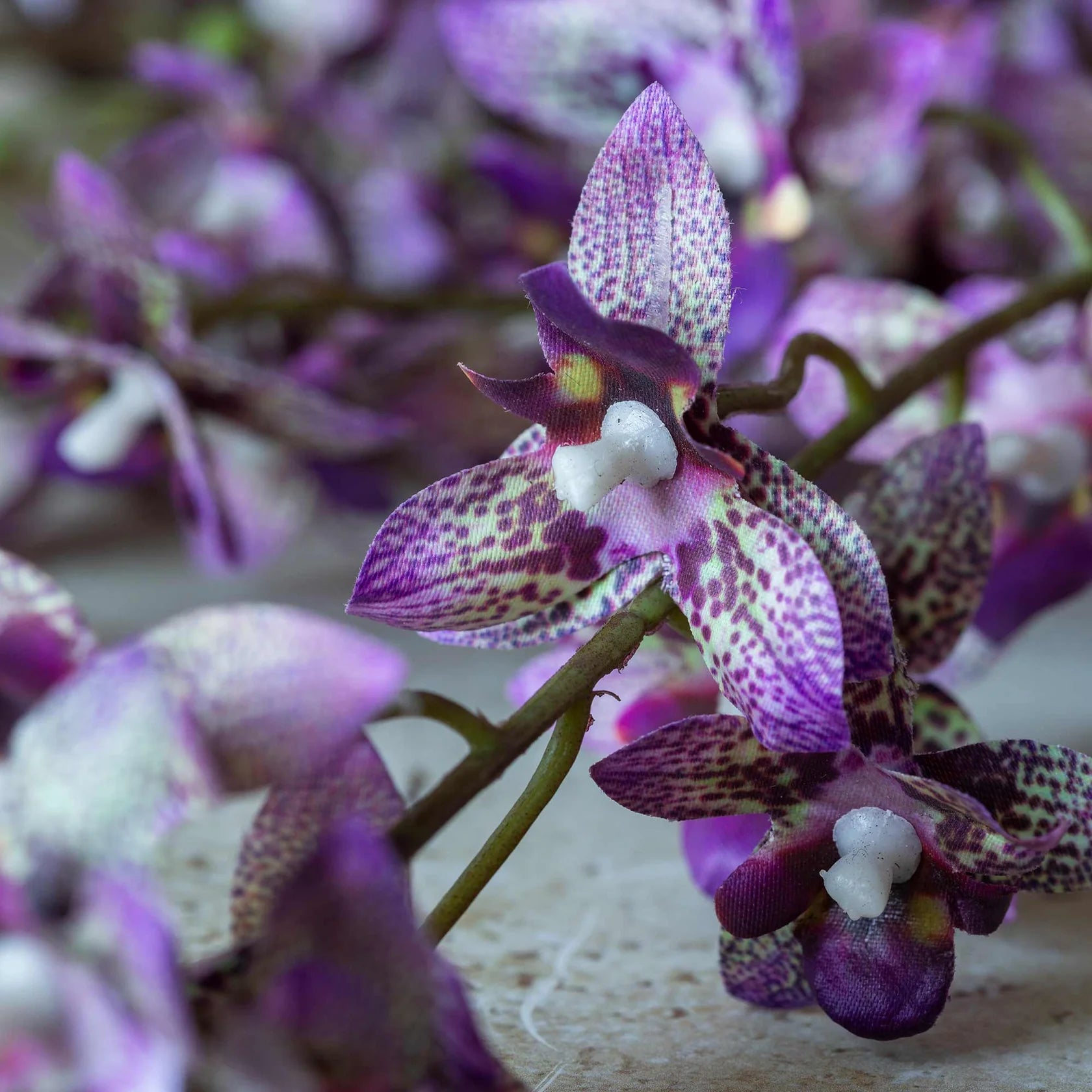 Artificial Oncidium Orchid