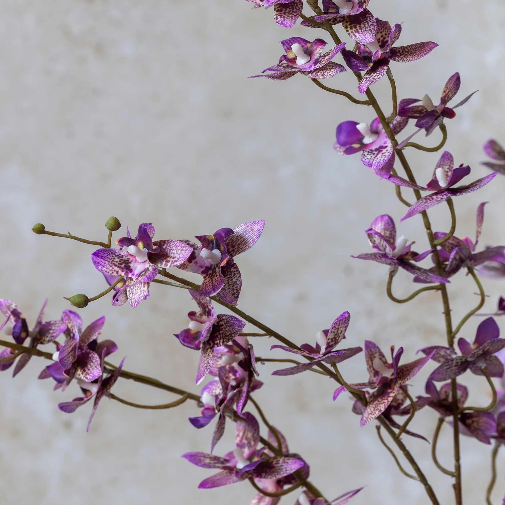 Artificial Oncidium Orchid