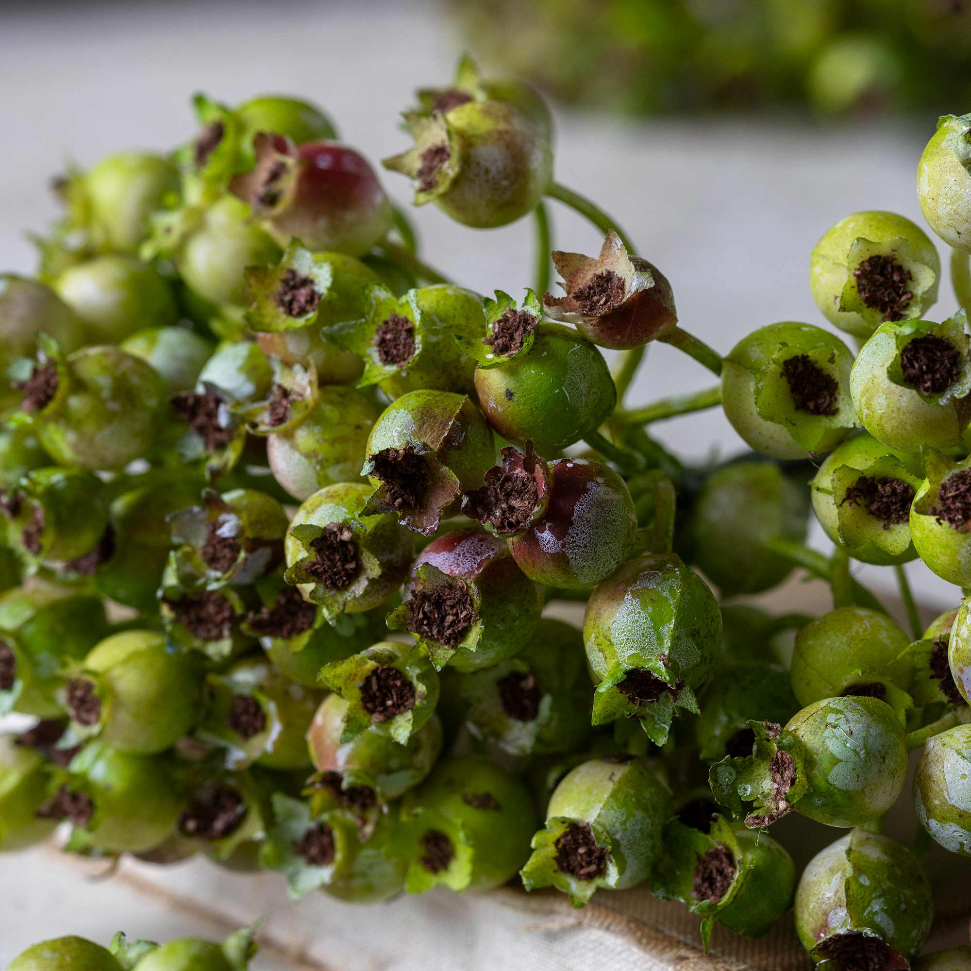 Artificial Rosehip Bunch - Olive