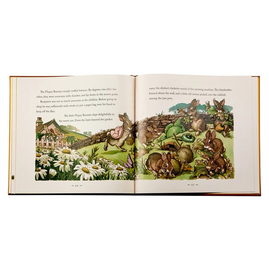 The Classic Tale of Peter Rabbit - Tan Bonded Leather