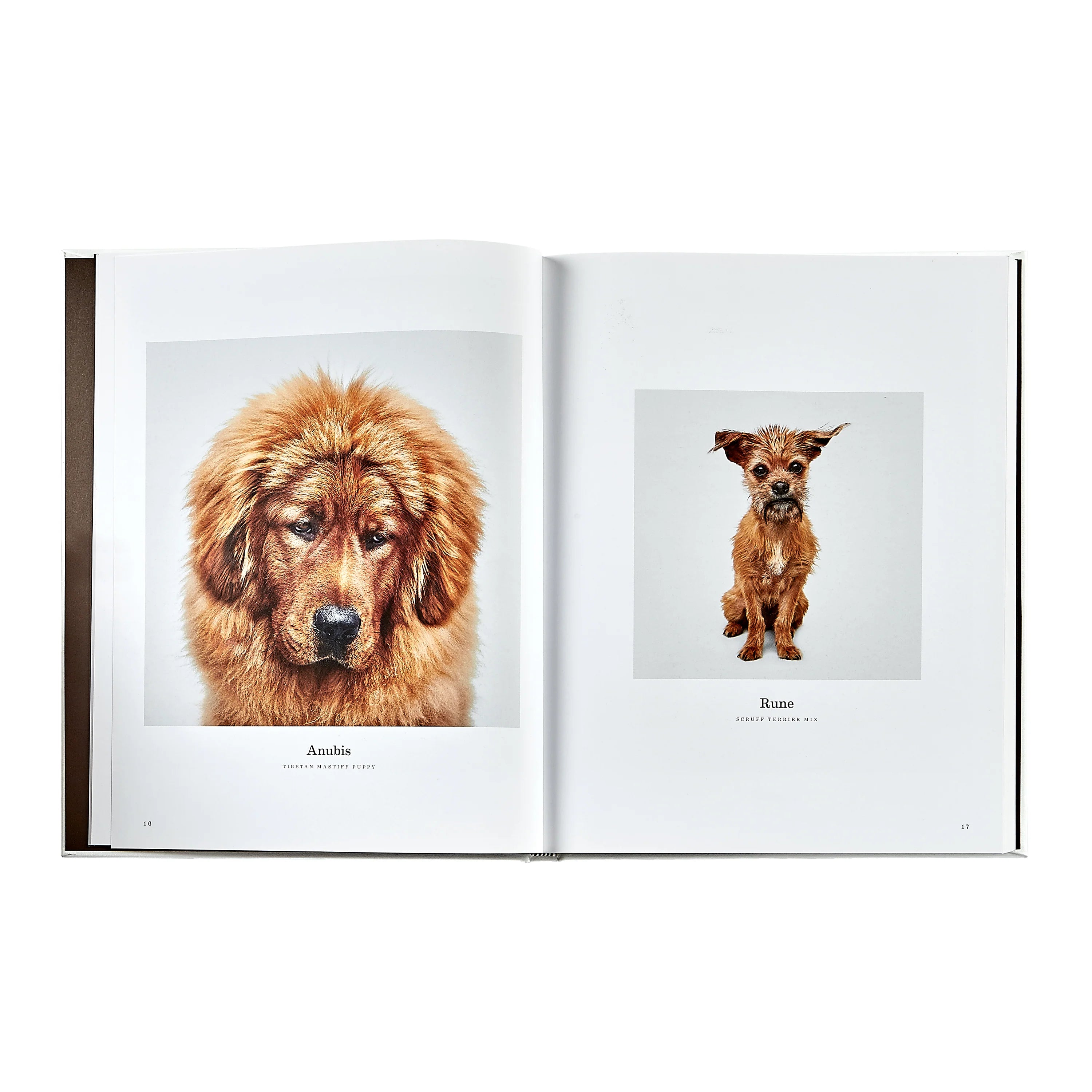 Good Dog: A Collection of Portraits