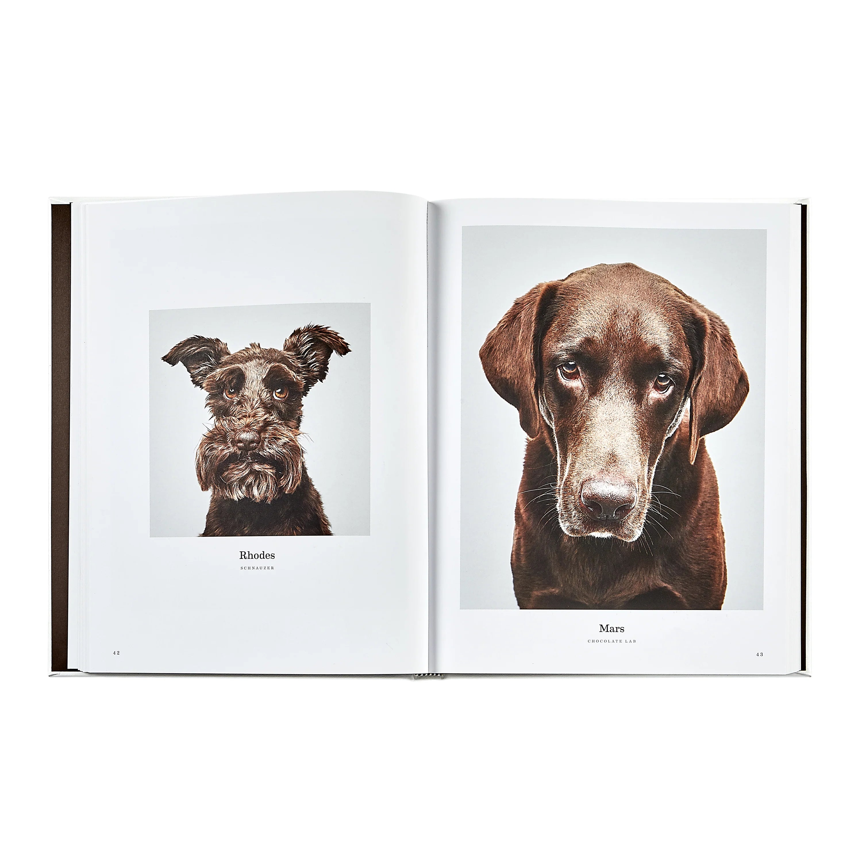 Good Dog: A Collection of Portraits