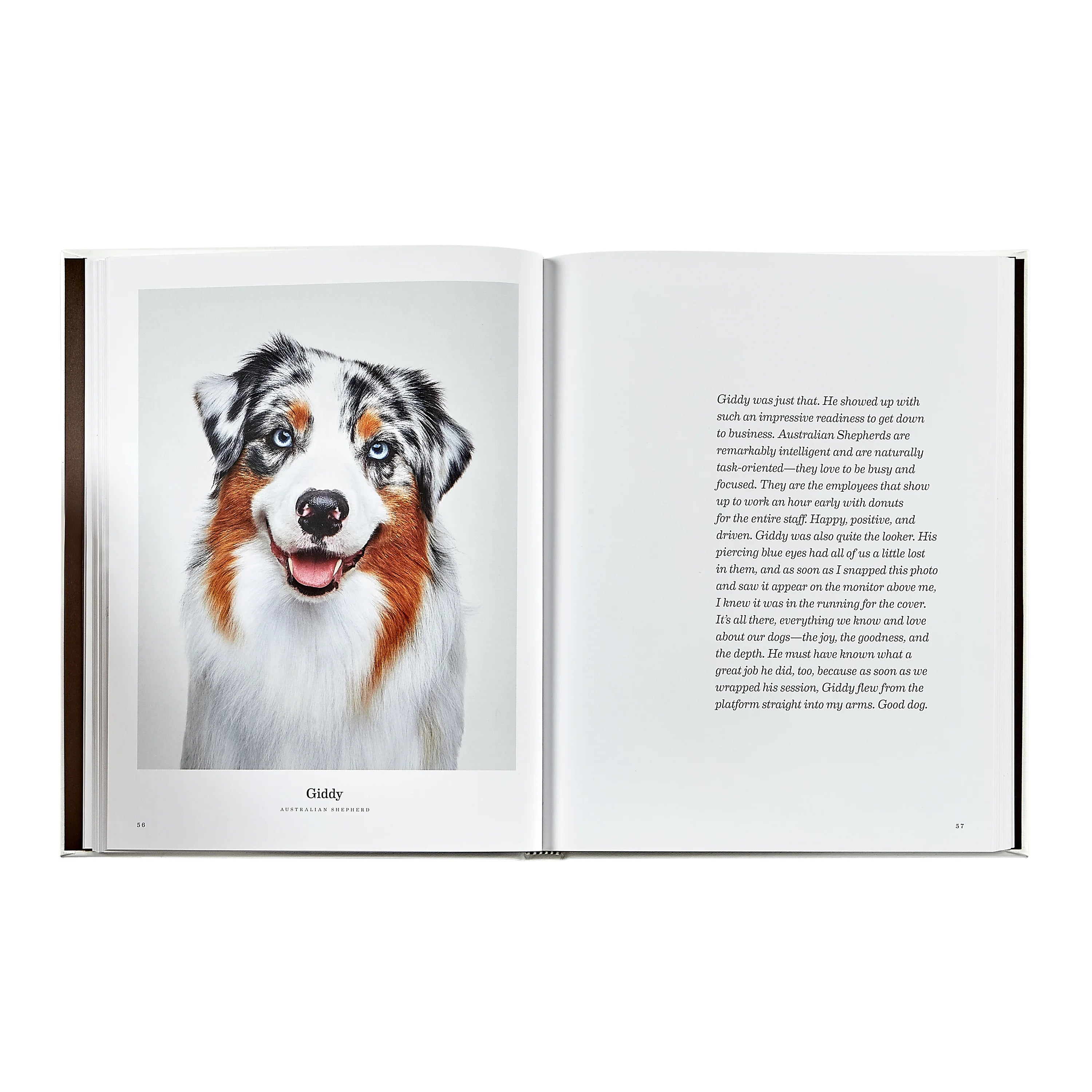 Good Dog: A Collection of Portraits