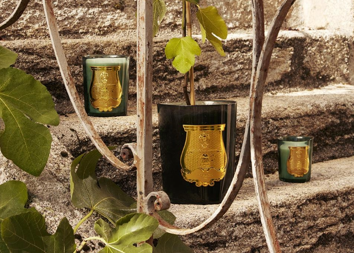 Candle Favorites