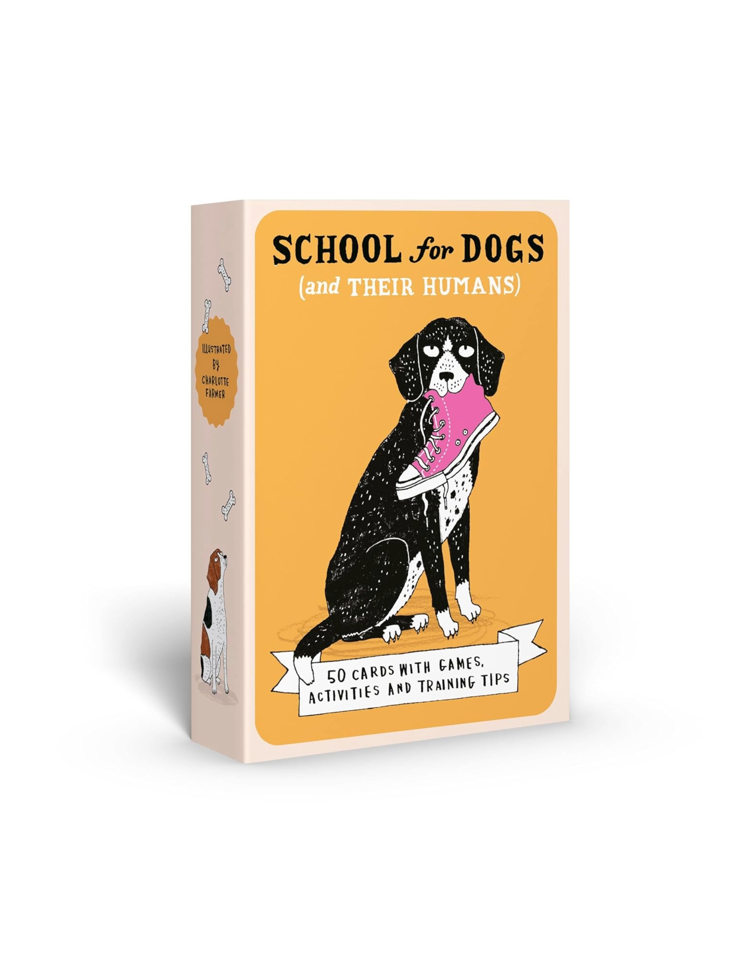 School For Dogs (and their Humans)