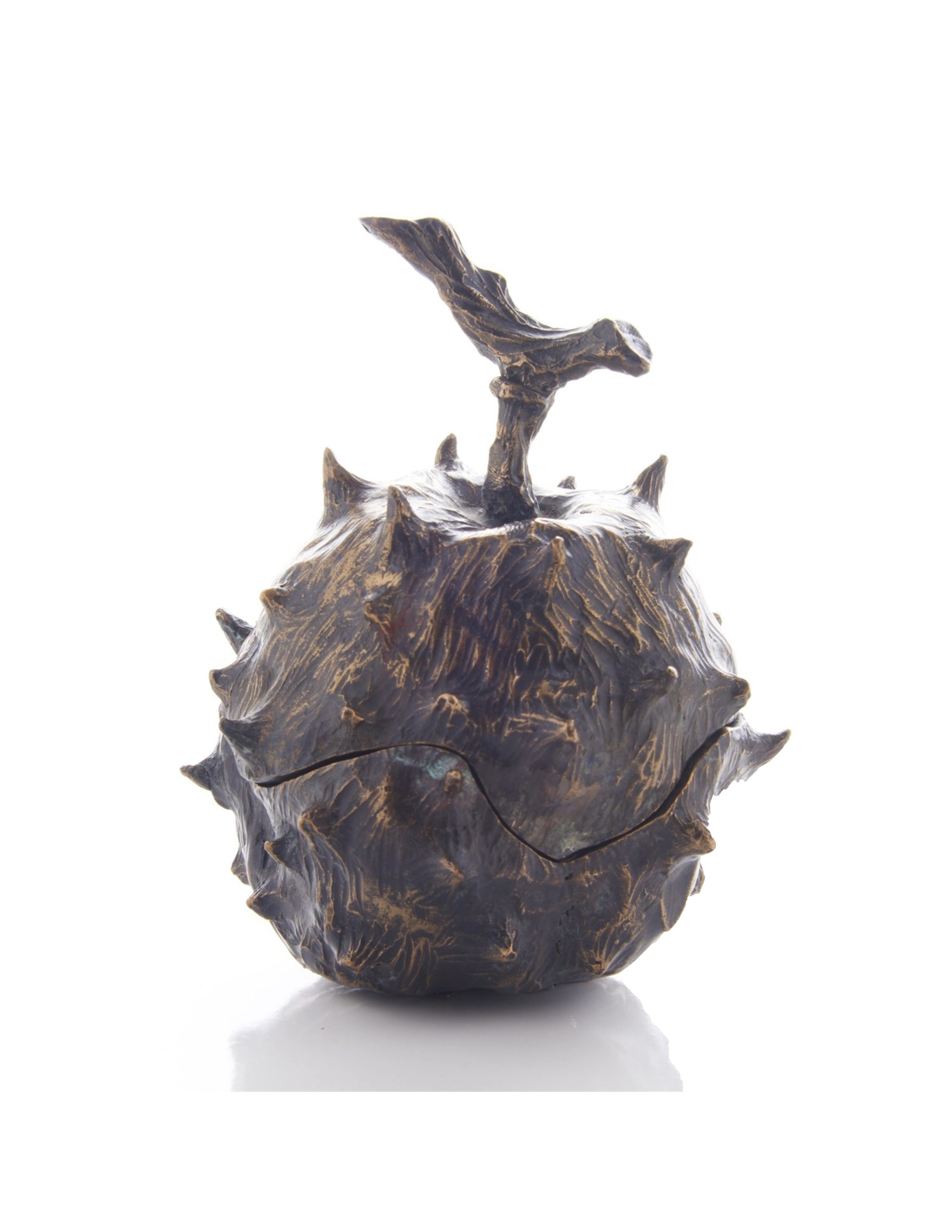 Bronze Thorned Apple