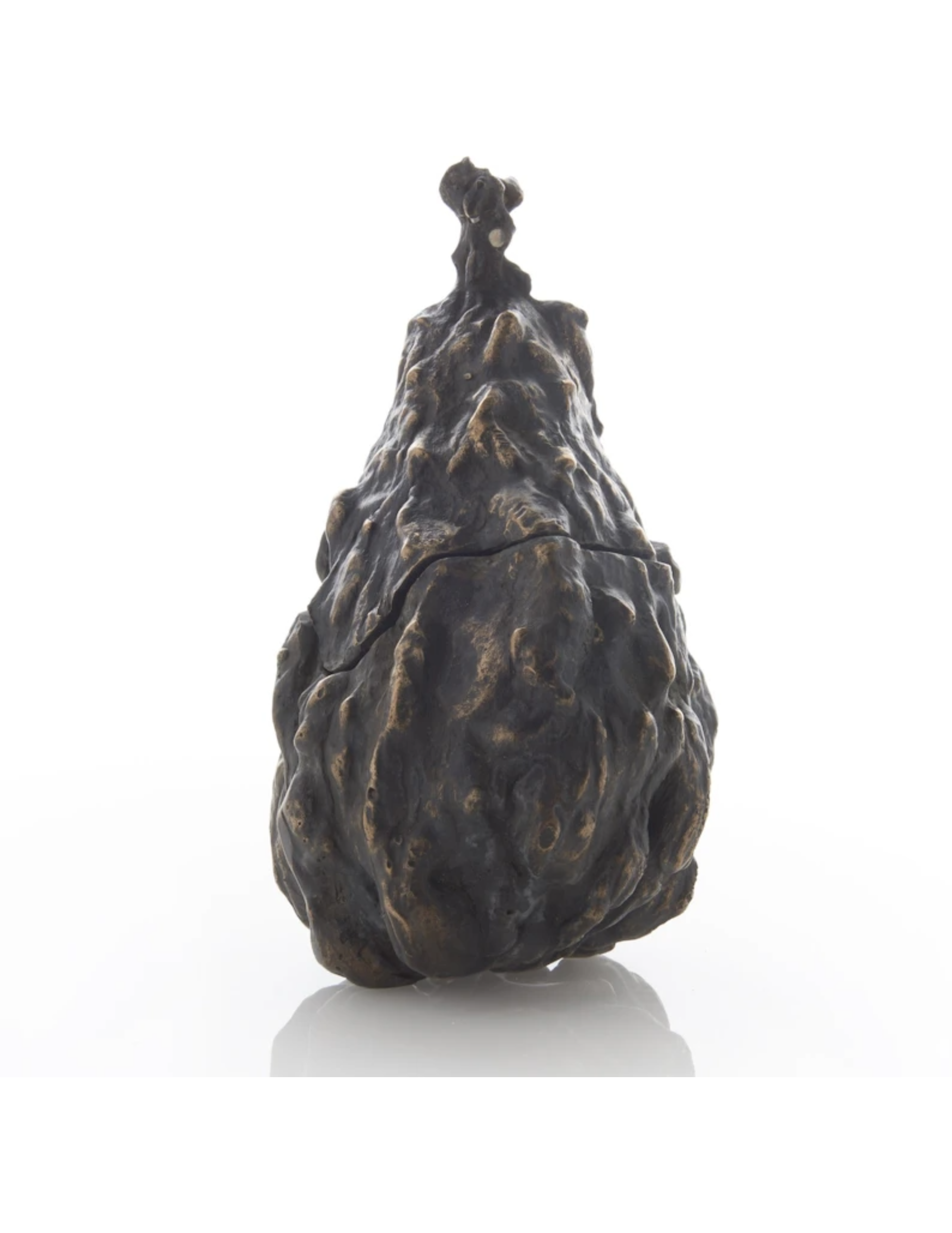 Bronze Warted Pear