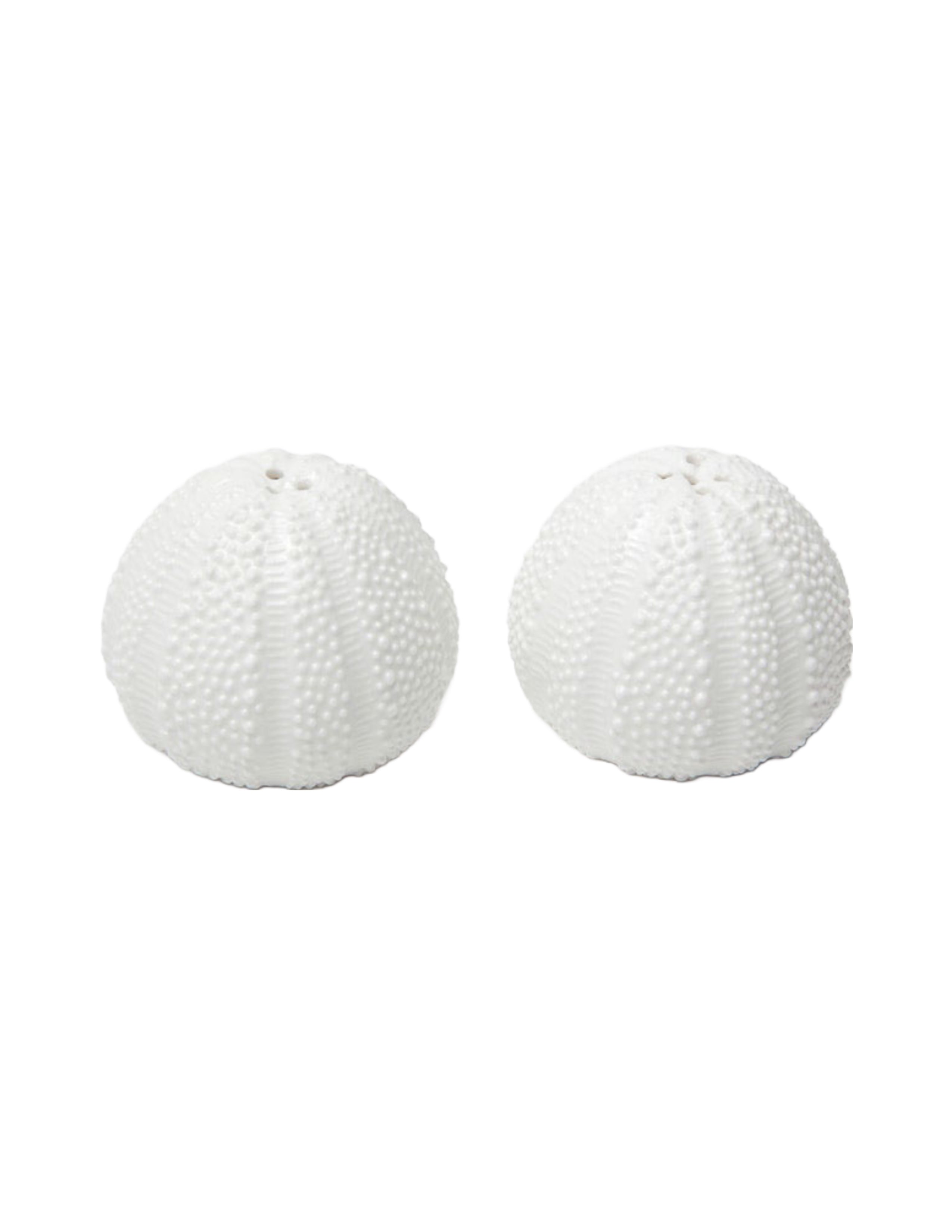 Marina Porcelain Sea Urchin Salt & Pepper Boxed Set