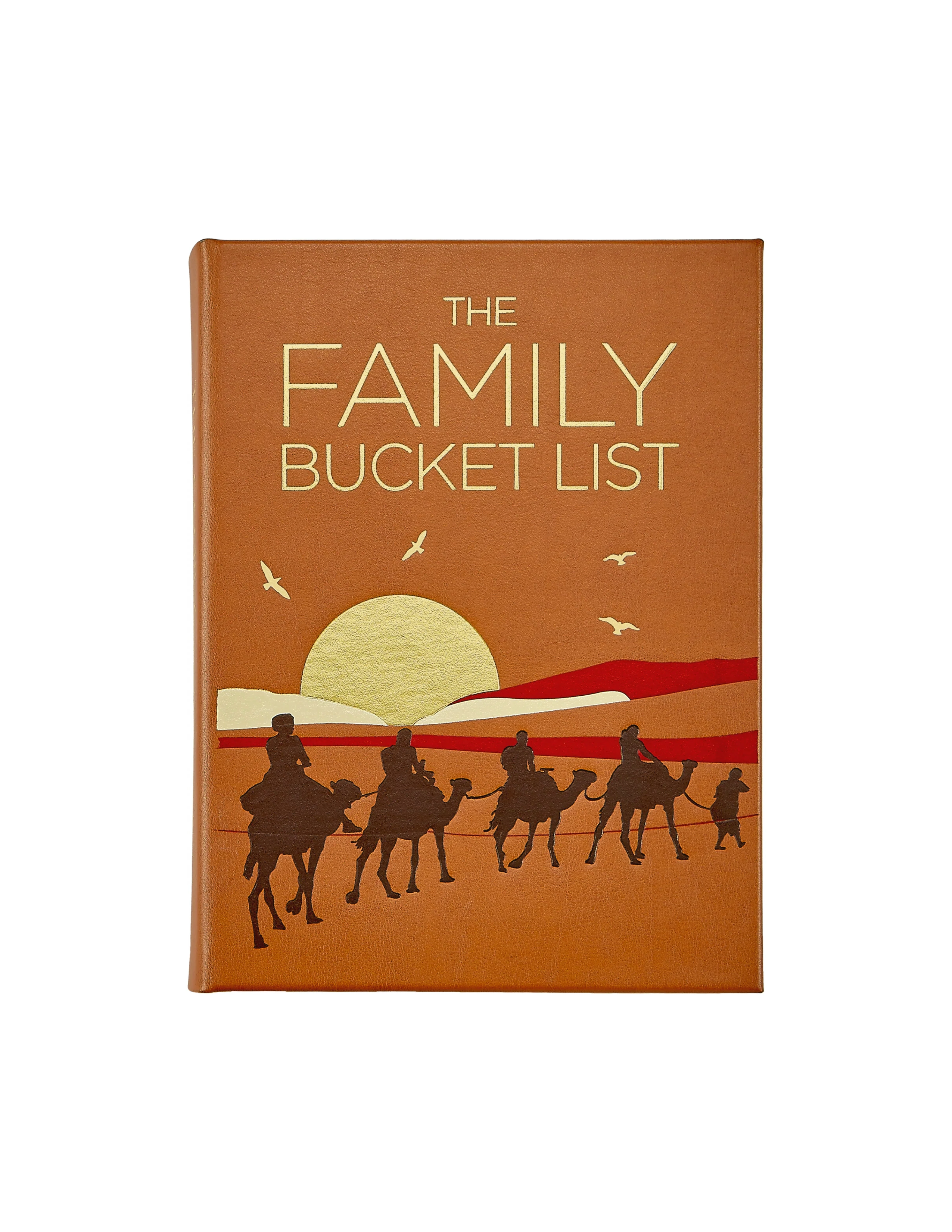 The Family Bucket List