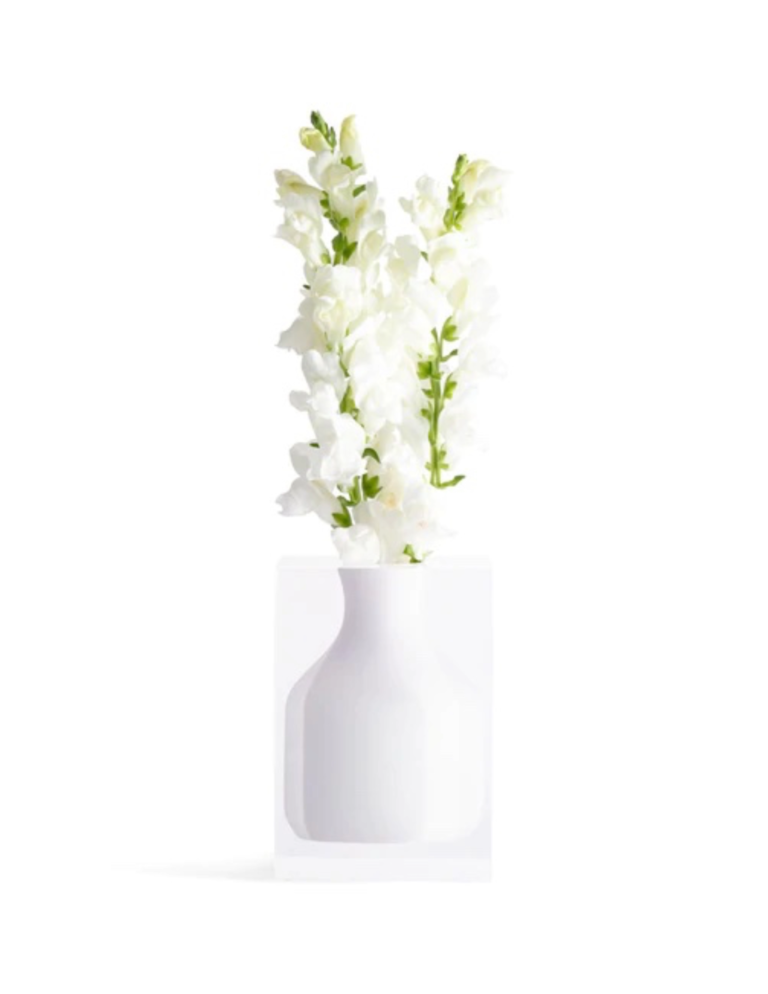 Hogan Bud Vase - White