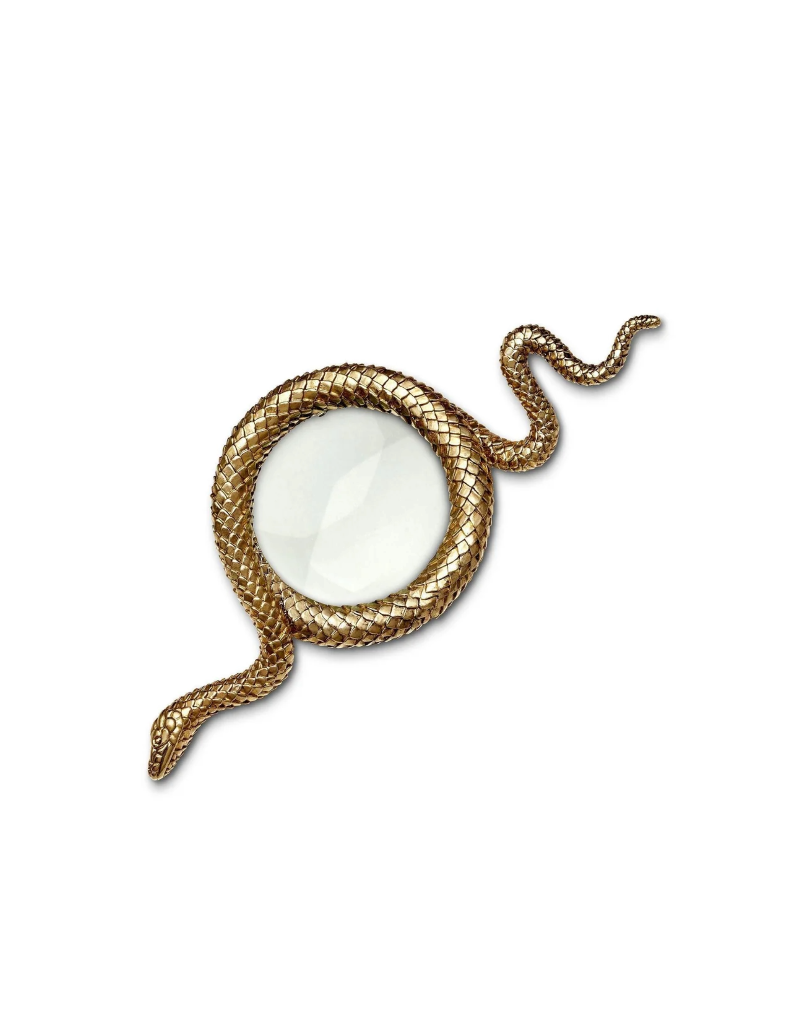 Snake Magnifying Glass - Small