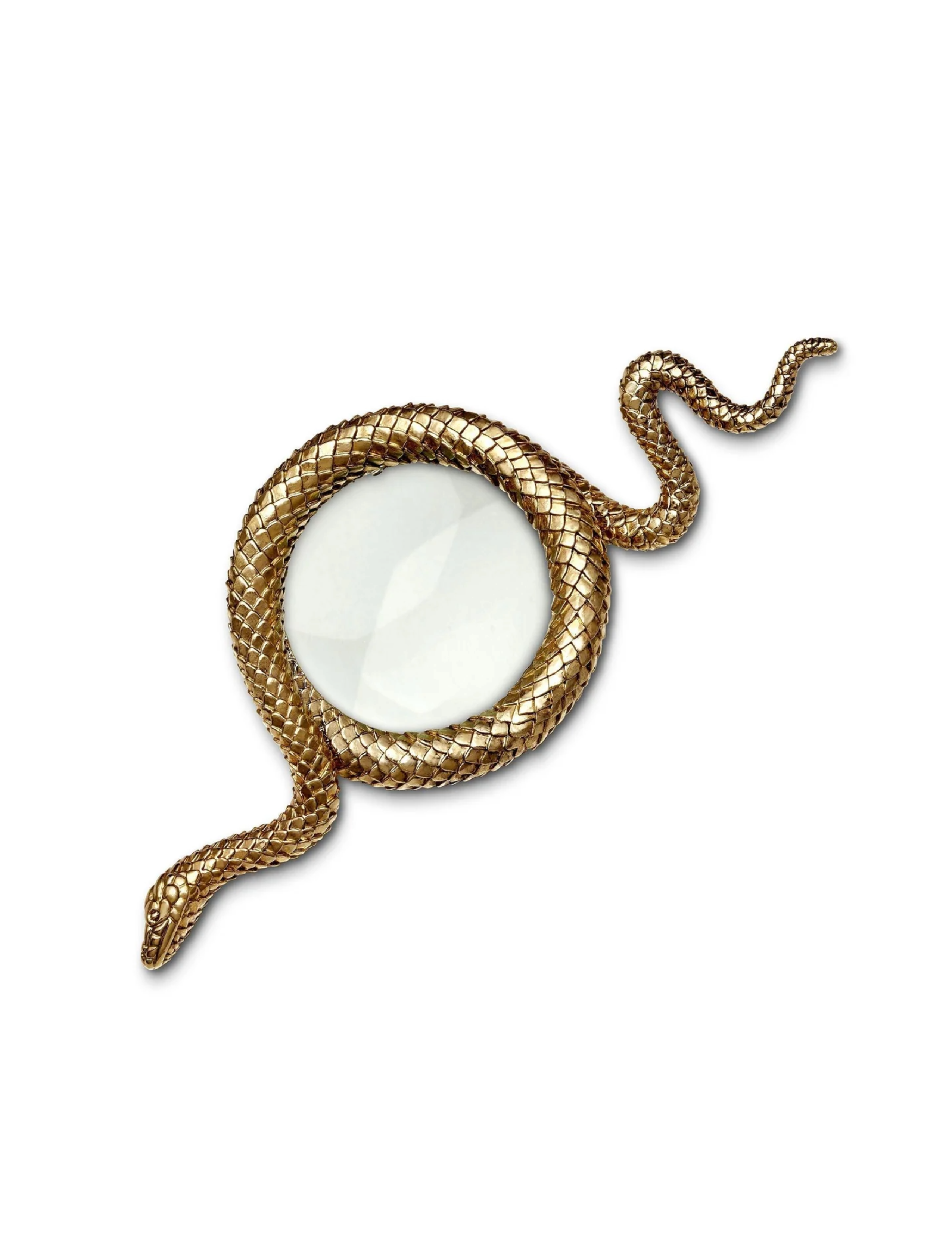 Snake Magnifying Glass -Large