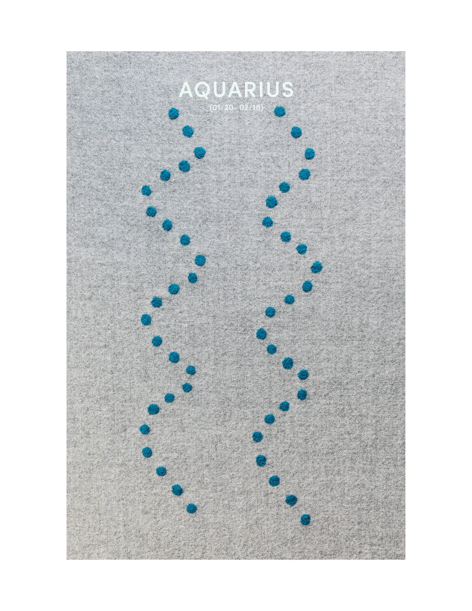 Hey Baby What's Your Sign? - Aquarius