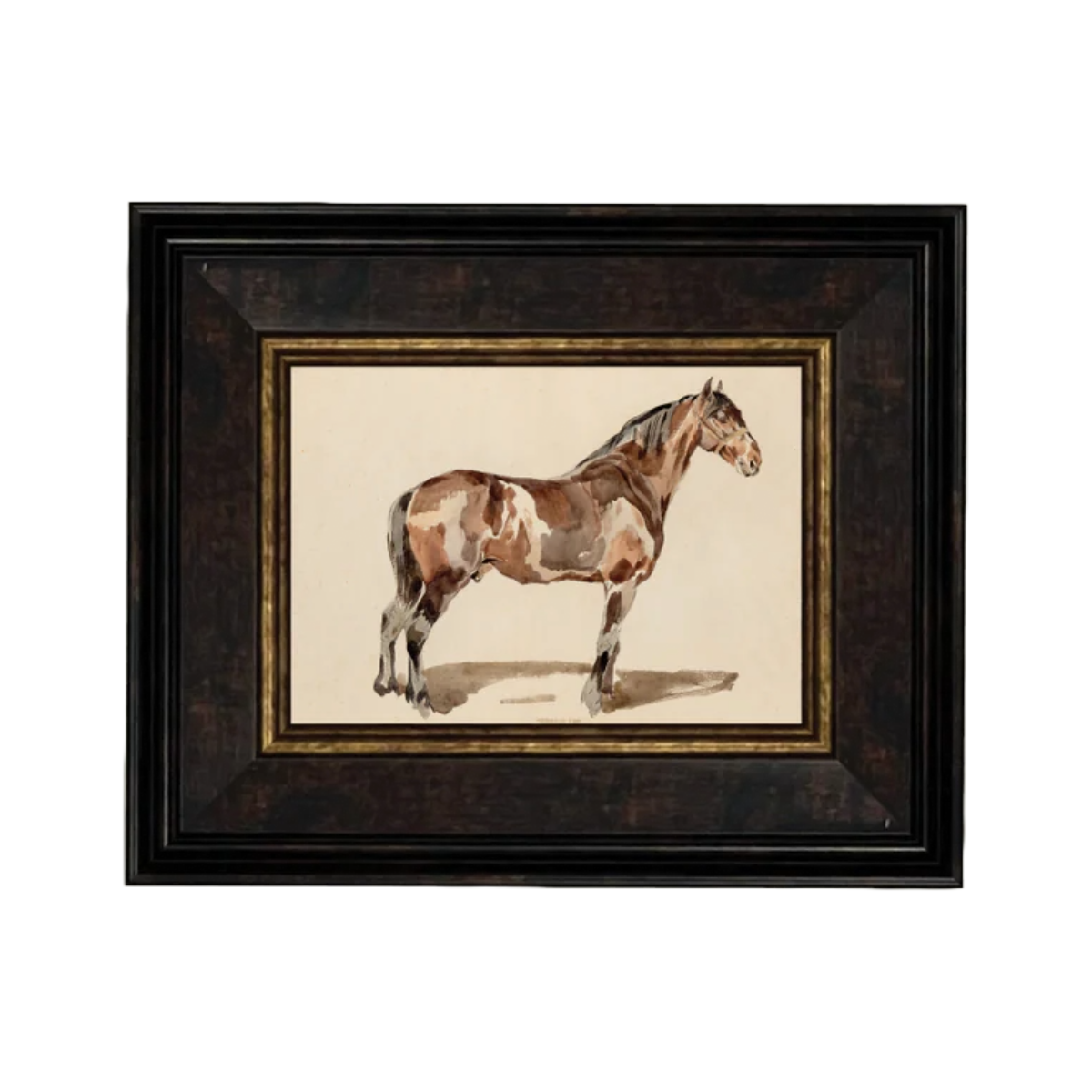 A Bay Horse