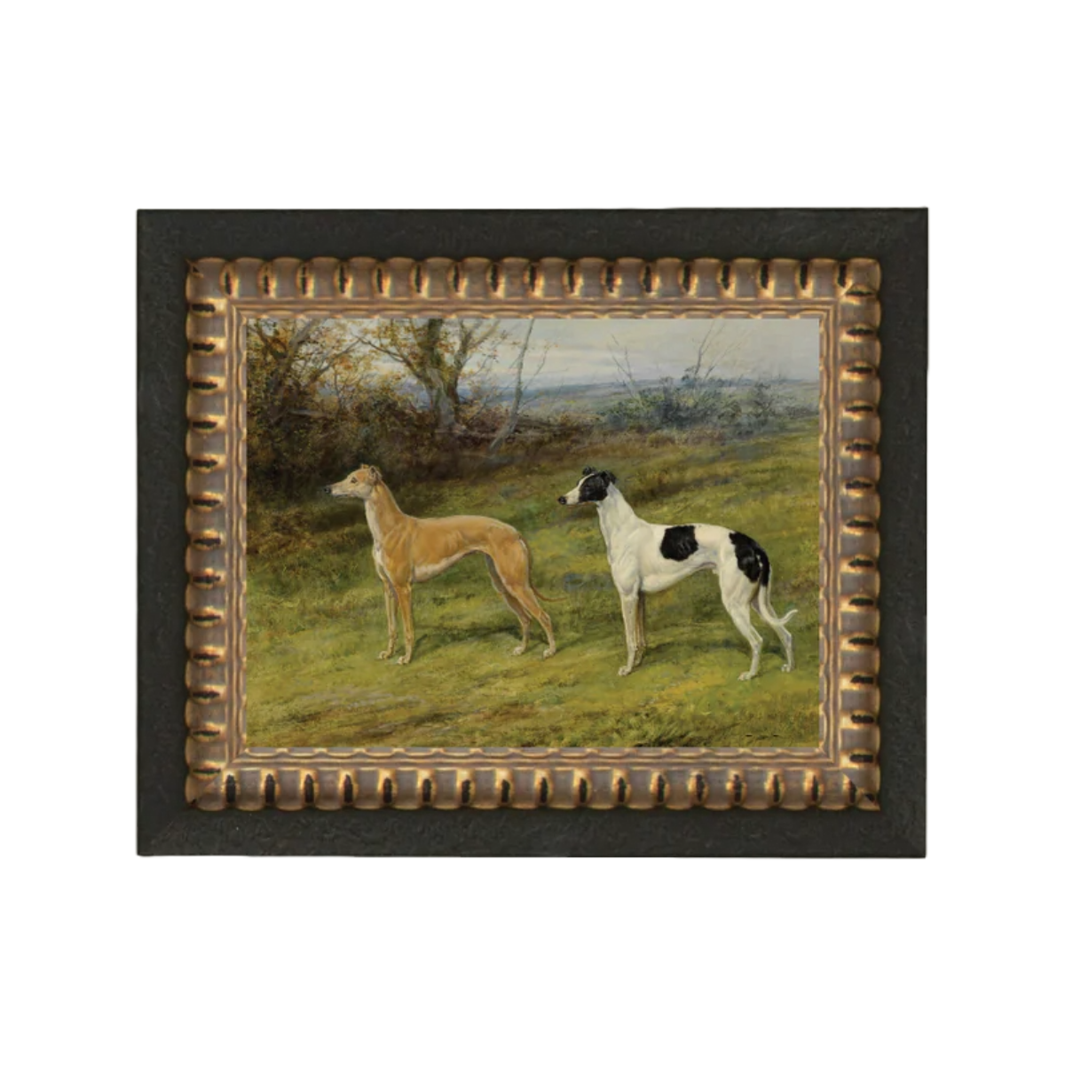 Greyhound Whippet Dogs