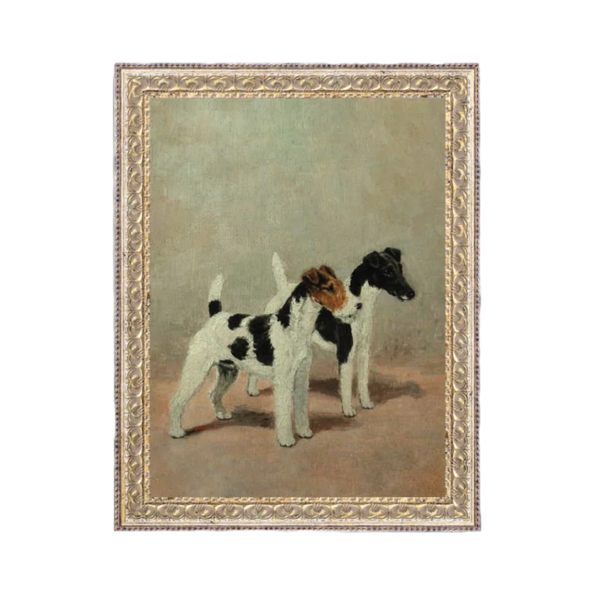 Two Fox Terriers