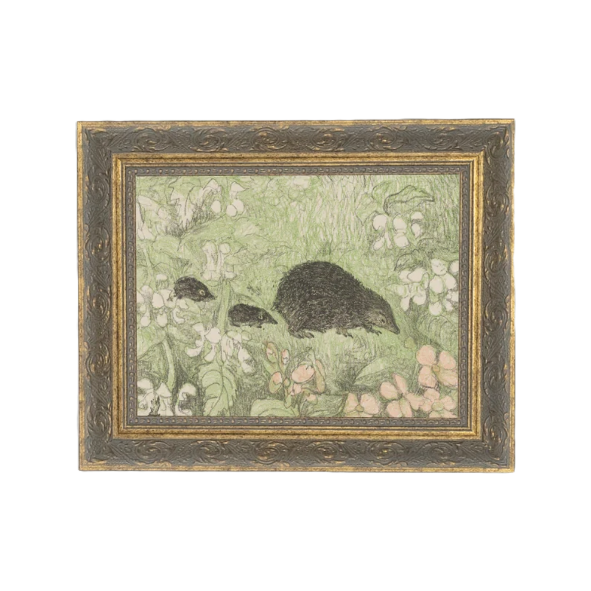 Hedgehog Family