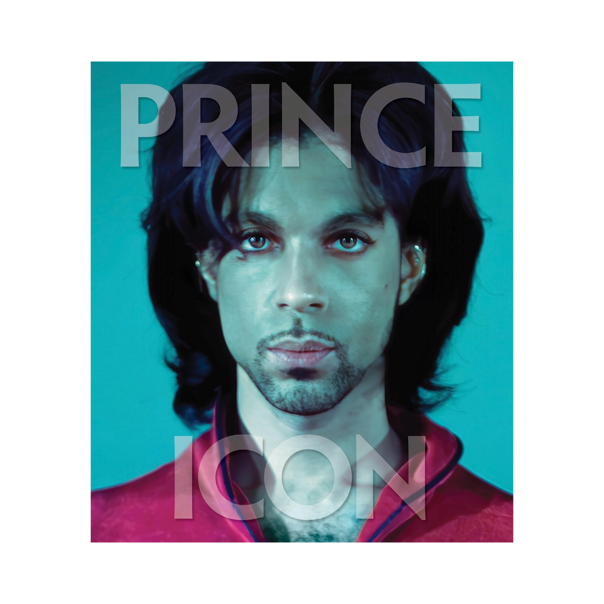 Prince: Icon
