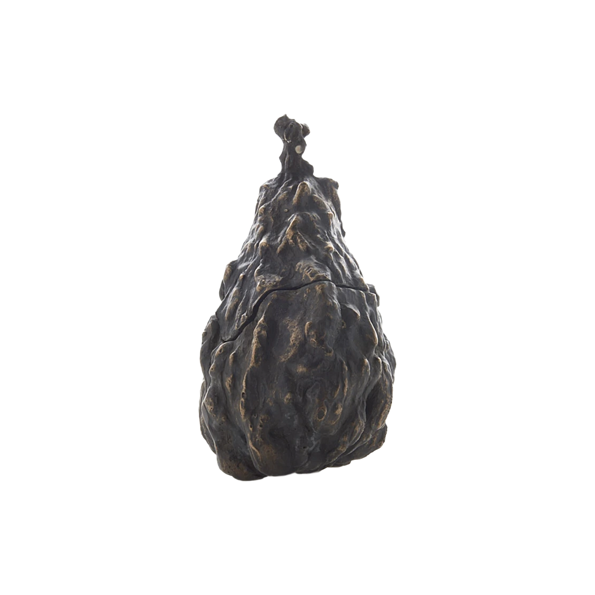 Bronze Warted Pear