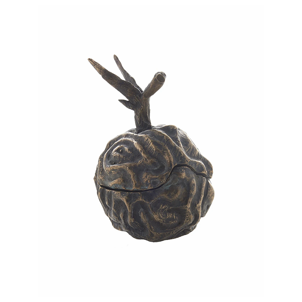Bronze Brain Plum