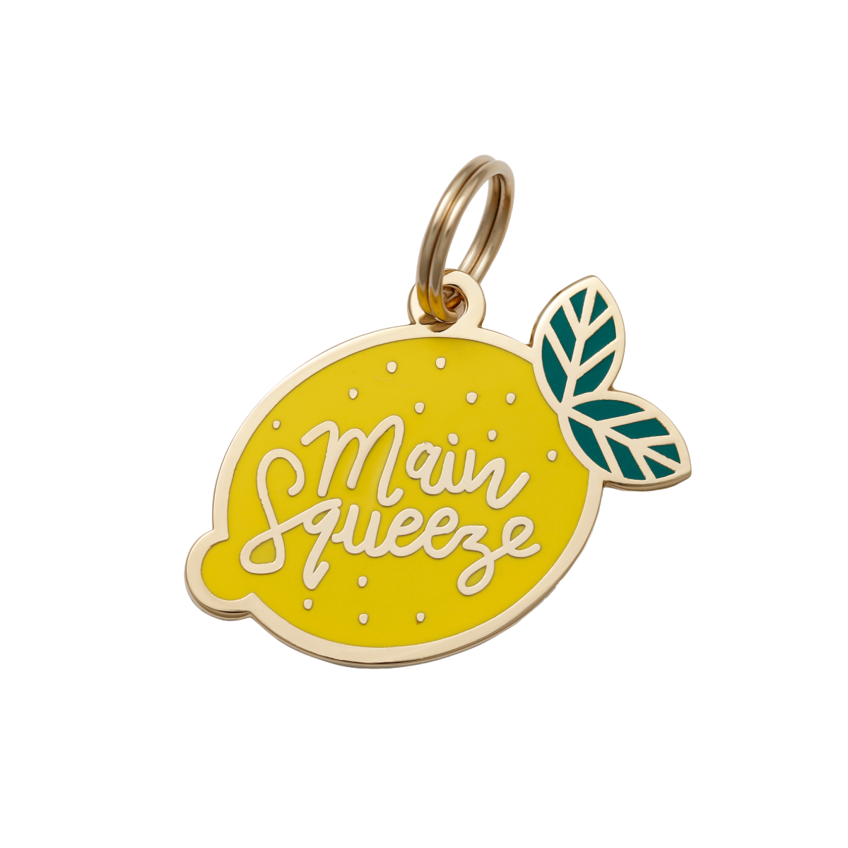 Pet ID Tag - Main Squeeze